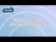 Processo de Envio Estritamente Padronizado